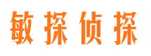 峰峰市侦探公司